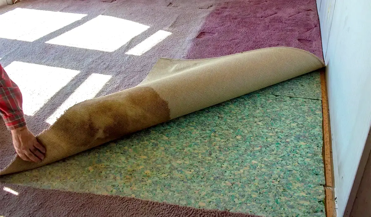 Carpet Damage banner